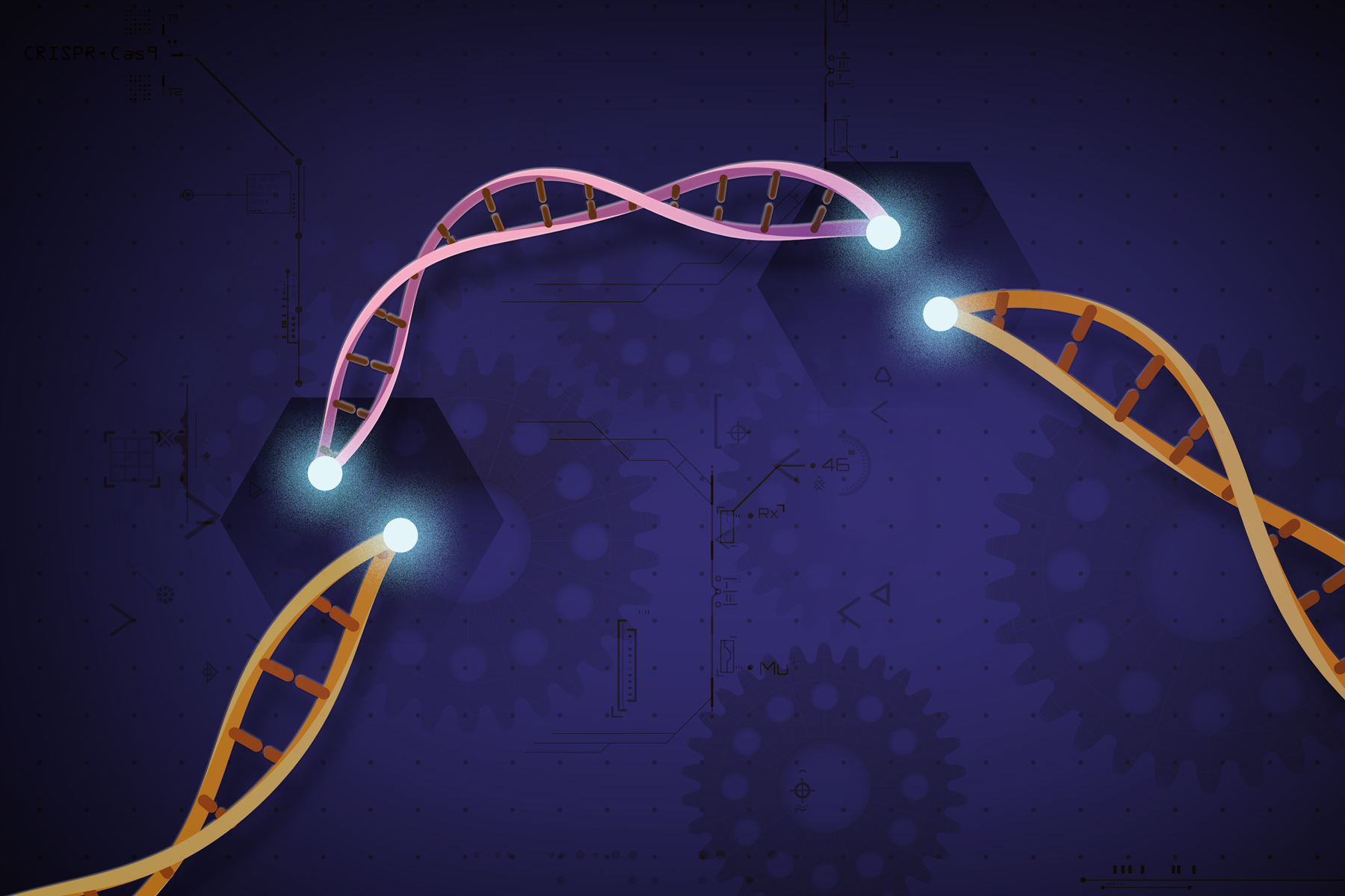 Illustration of CRISPR-Cas9 gene editing